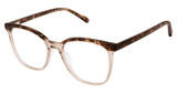 Steel + Tate Eyeglasses SLTA-0011 OAT BROWN/S402