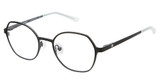 AÉROPOSTALE Eyeglasses Unique Seaweed/SEAWEED