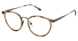 RACHEL Rachel Roy Eyeglasses Splendid Honey/HONEY