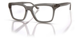 Denon Eyewear Eyeglasses HAROLD 1M