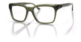Denon Eyewear Eyeglasses HAROLD 41