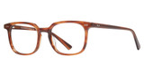 Vivid Eyeglasses VIVID 967 demi brown