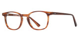 Vivid Eyeglasses VIVID 968 demi brown