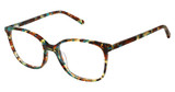 Steel + Tate SLTA-0015 HAVANA AQUA/S404