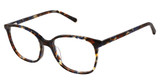 Steel + Tate SLTA-0015 HAVANA BLUE/S401