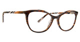 XOXO Eyeglasses Elsey TORTOISE/TOR