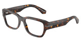 DOLCE & GABBANA DG3408 HAVANA/502