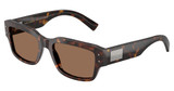 DOLCE & GABBANA Eyeglasses DG4483 HAVANA/502/73