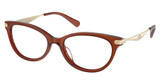 COACH Eyeglasses HC6245U TRANSPARENT BROWN/5847