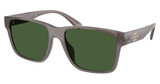 COACH Eyeglasses HC8417U CW425 MILKY WARM GREY/585271