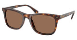 Polo Eyeglasses PH4220U SHINY BROWN TORTOISE/613773