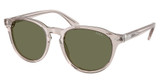 Polo Eyeglasses PH4221 SHINY TRANSPARENT LIGHT/611771