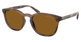 Polo Eyeglasses PH4222U SHINY DARK HAVANA/500383