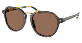 Polo Eyeglasses PH4223U SHINY DARK HAVANA/500373