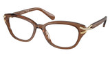 SWAROVSKI Eyeglasses SK2032 TRANSPARENT BROWN/1067