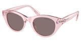 SWAROVSKI Eyeglasses SK6025 TRANSPARENT PINK/30017N