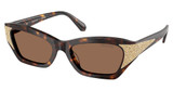 SWAROVSKI Eyeglasses SK6029 DARK HAVANA/100273