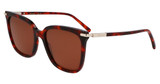 Ferragamo SF2037S RED TORTOISE/640