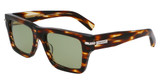 Ferragamo Eyeglasses SF2033S STRIPED BROWN/216