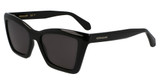 Ferragamo SF2039SE BLACK/001