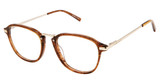 Perry Ellis Eyeglasses PE 485 BROWN/2