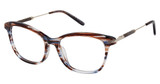 Ann Taylor Eyeglasses TYATP032 BROWN NAVY HORN/C01