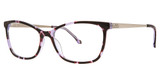 Elliott Ives Beechdrops Grape Tortoise/GP