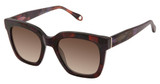 FYSH Eyeglasses FYSH 2126 MERLOT/S407