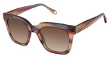 FYSH Eyeglasses FYSH 2126 SUNSET/S414