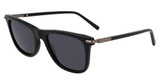 Ferragamo SF2028S BLACK/001