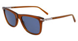 Ferragamo SF2028S TRANSPARENT BROWN/232