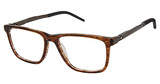 Champion Eyeglasses ROVE BROWN HORN/C01