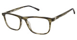 Champion Eyeglasses SLAM OLIVE HORN/C03