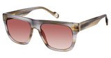 True Religion Eyeglasses T5005 Brown/BRN