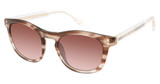 True Religion Eyeglasses T3005 Brown/BRN