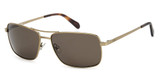 Fossil Eyeglasses FOS 3161/G/S ANT GOLD A/0OUN