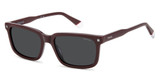 Polaroid PLD 4174/S/X Sunglasses