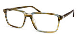 Modo Eyeglasses 6563 GREEN TORTOISE/GNTT
