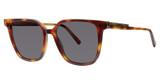 Vera Wang Eyeglasses Serve Tortoise/TO