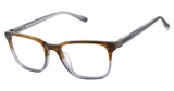 Barbour Eyeglasses BAOM014 olive horn/grey/OLI