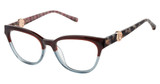 Barbour Eyeglasses BAOW017 burgundy slate/BUR