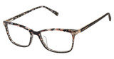 Ted Baker Eyeglasses TWUF007 grey/GRY