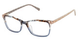 Ted Baker Eyeglasses TWUF007 slate/SLA