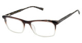 Ted Baker TM017 brown/BRN