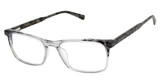 Ted Baker Eyeglasses TM017 grey/GRY