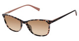 Ted Baker Eyeglasses TWS302 rose tortoise/ROS