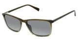 Ted Baker Eyeglasses TMS205 olive/OLI