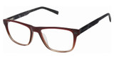 Ted Baker Eyeglasses TFM018 burgundy/BUR