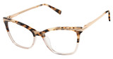 Ted Baker Eyeglasses TW024 ivory tortoise/IVO