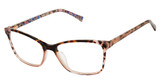 Ted Baker Eyeglasses TFW021 tortoise/TOR